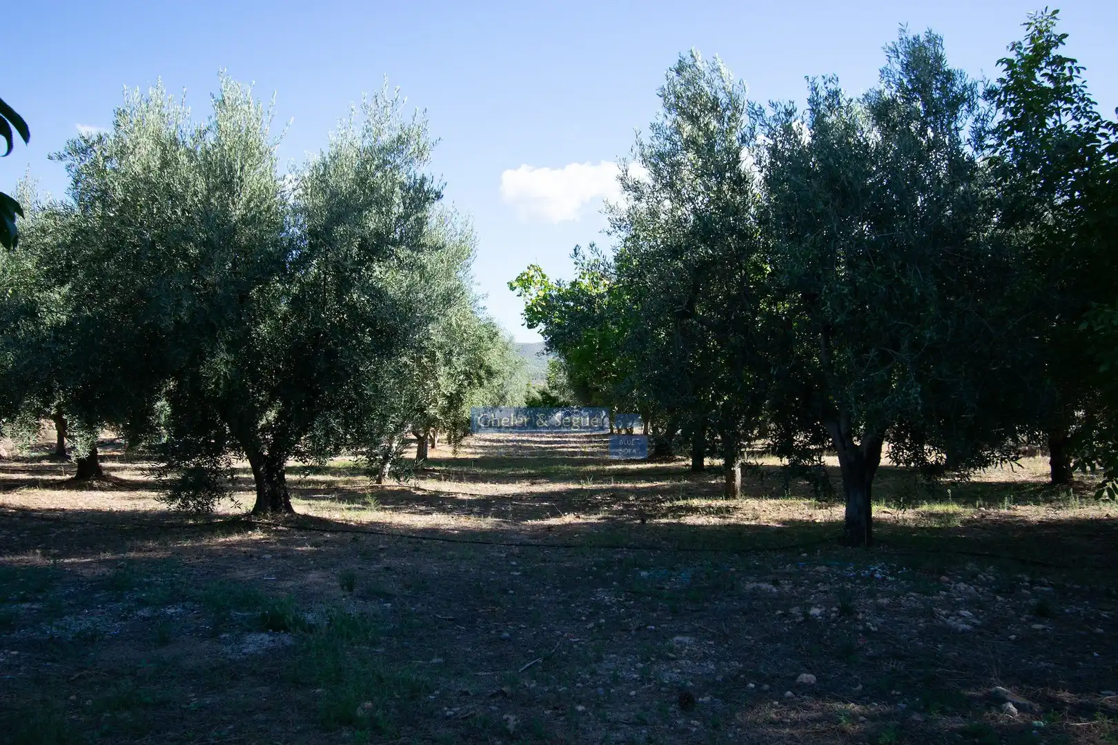 Finca rústica en venda en Llíria