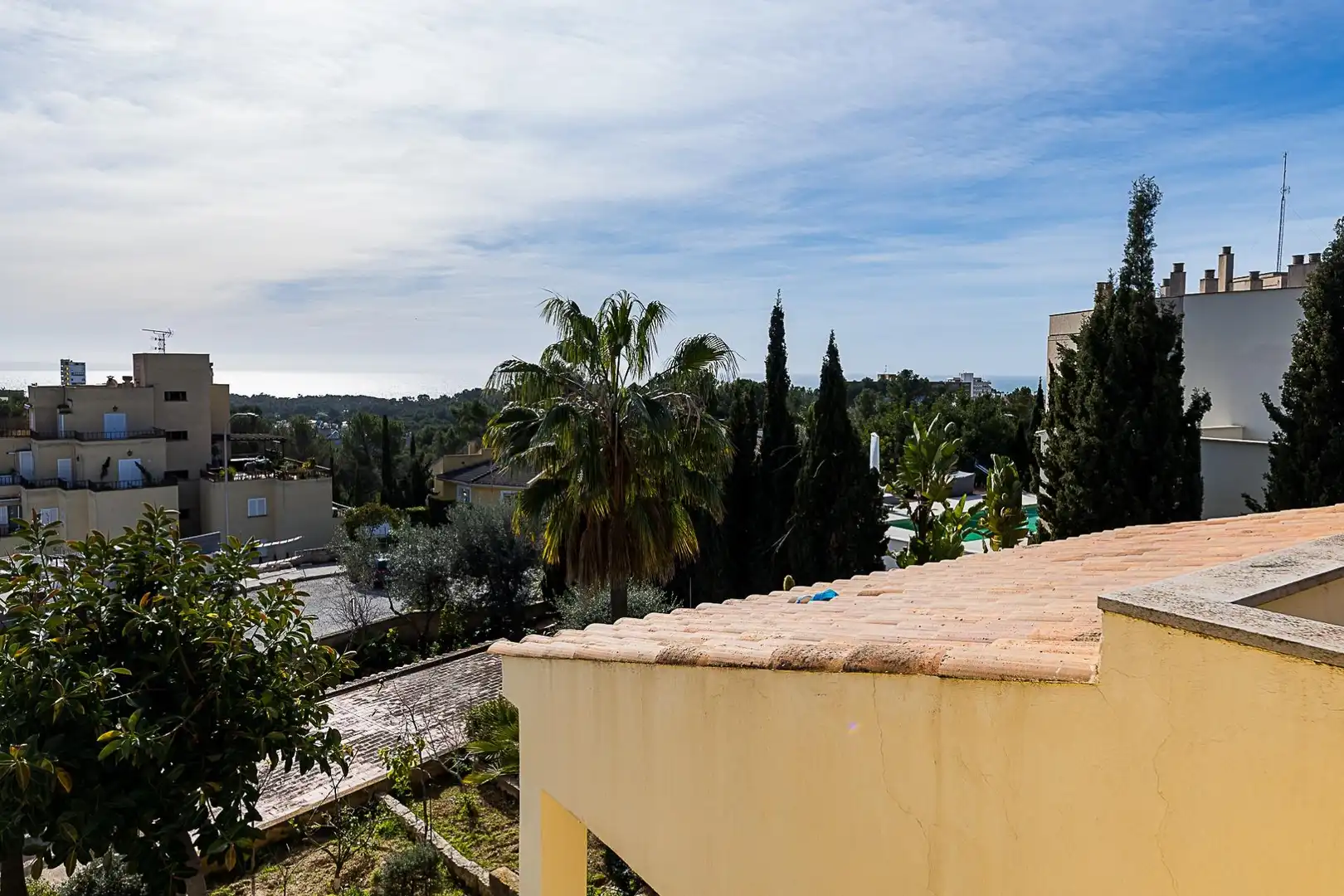 Vista exterior de Casa o chalet en venta en  Palma de Mallorca con Jardín privado, Terraza y Trastero