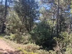 Country homes for sale in Santa Maria d'Oló