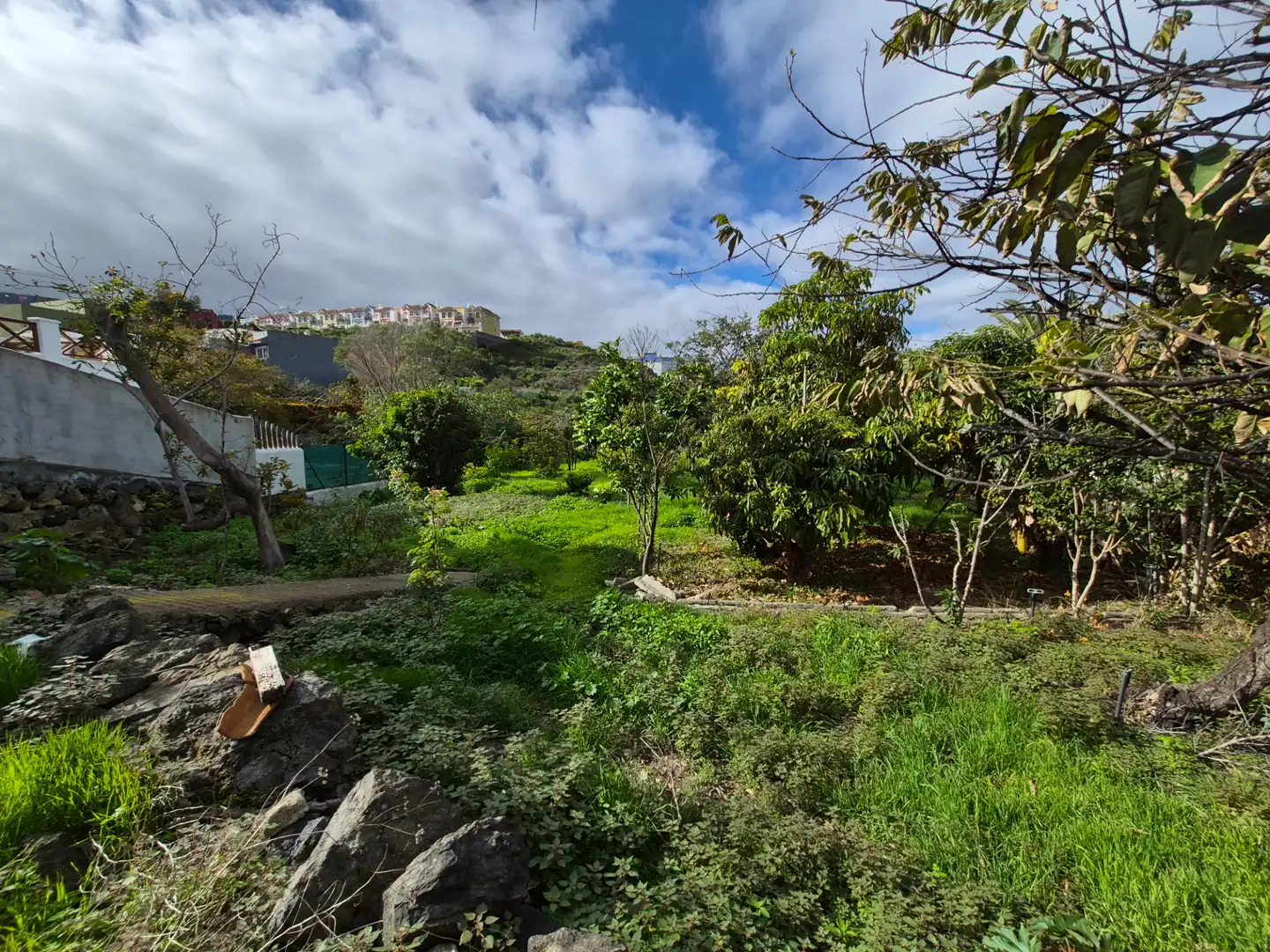 Rural land for sale in Camino la Cueva del Rey, imagen 45