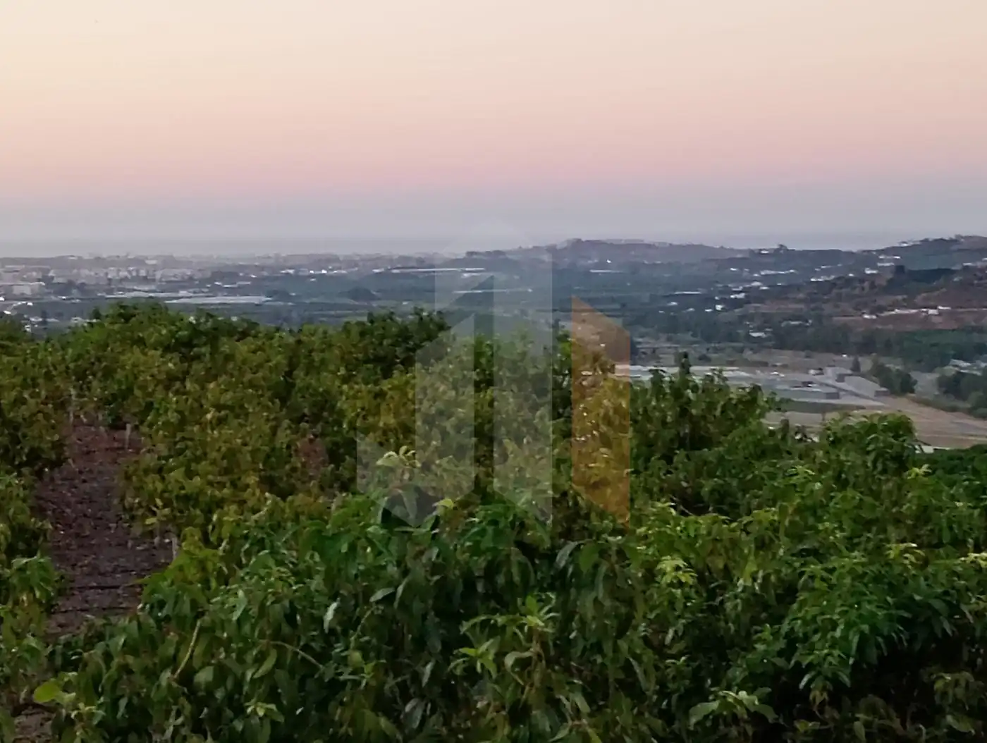 Casa rustica in vendita a Vélez-Málaga ciudad, imagen 5