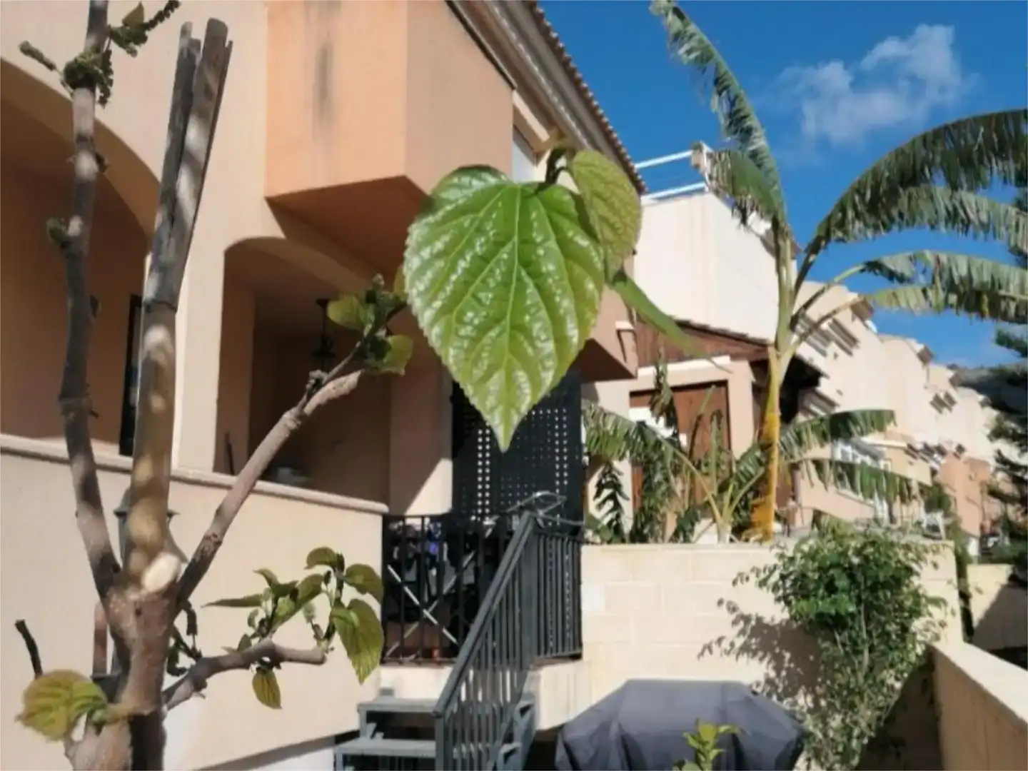 Vista exterior de Casa o chalet en venta en Orxeta con Balcón