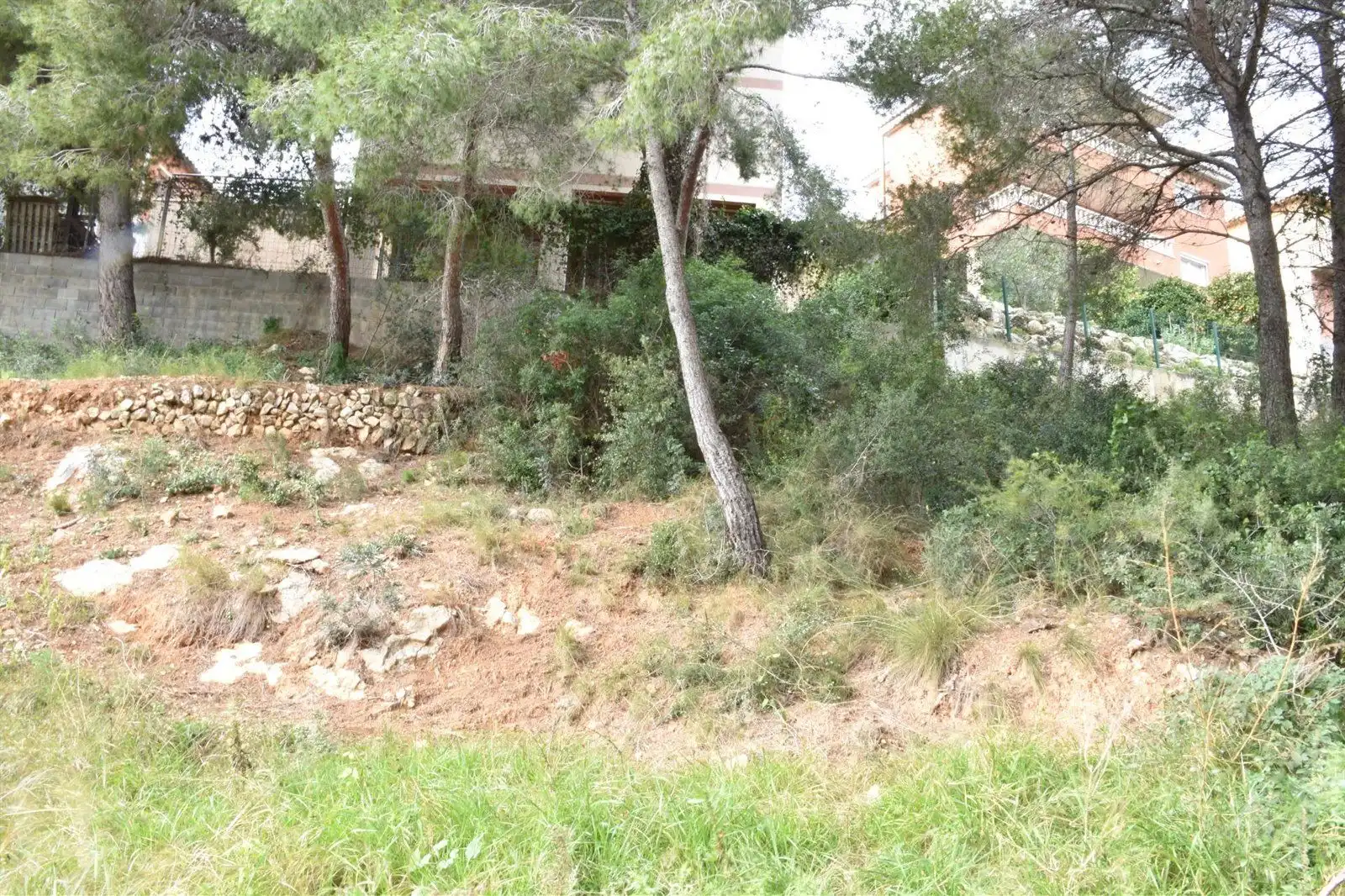Rural land for sale in GLADIOL, imagen 8