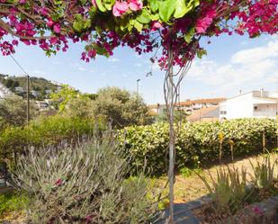 Garden of Flat for sale in Roses  with Private garden and Terrace