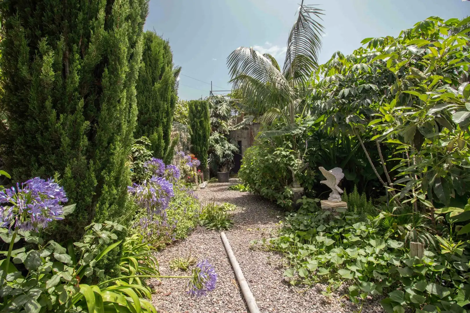 Jardí de Casa o xalet en venda en Icod de los Vinos amb Jardí privat, Terrassa i Traster