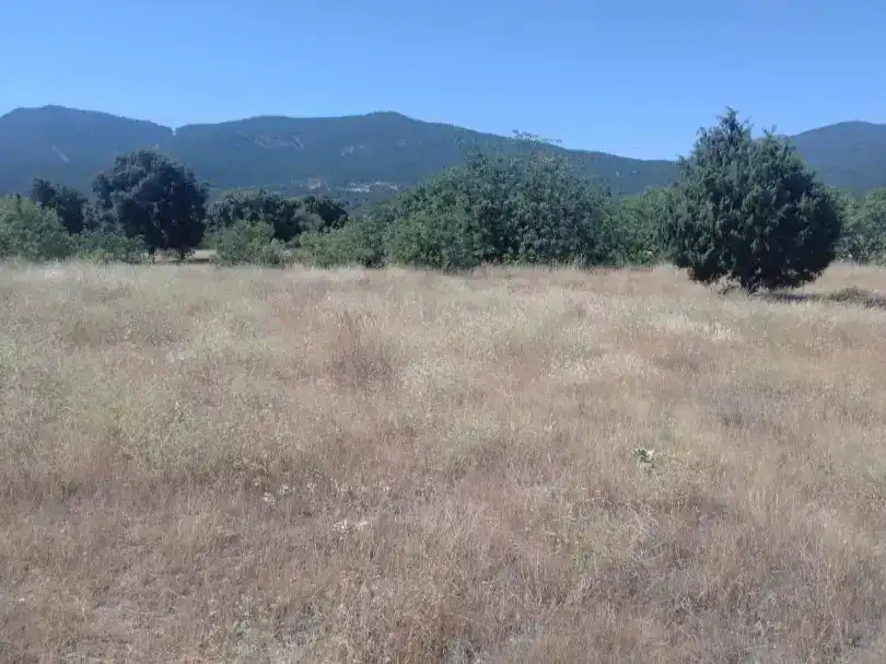 Finca rústica en venda en El Tiemblo 