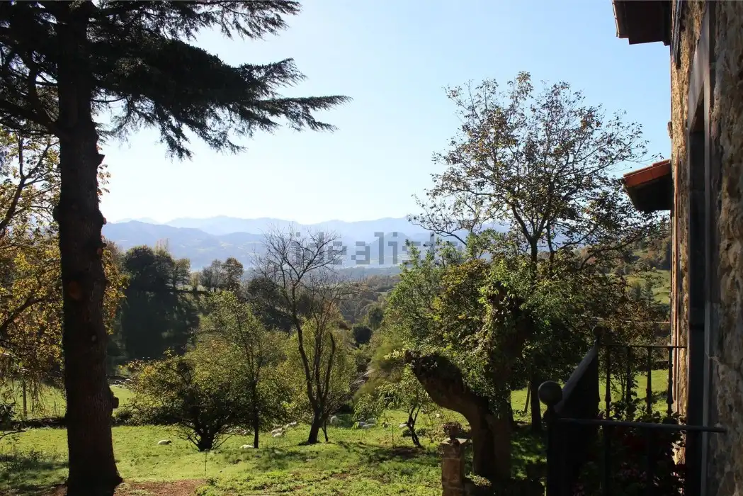 Casa con terrazza in vendita a Parres, imagen 42