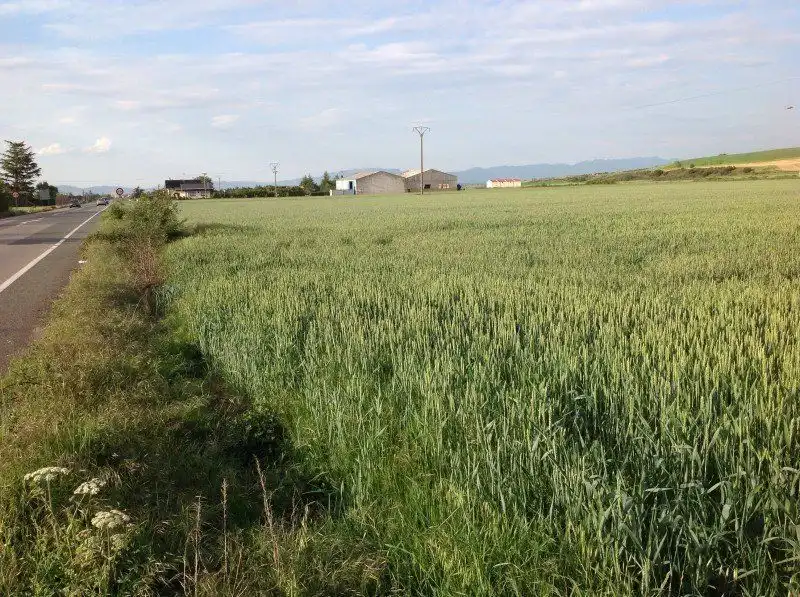 Lands and plots for sale in Santo Domingo de la Calzada, imagen 8