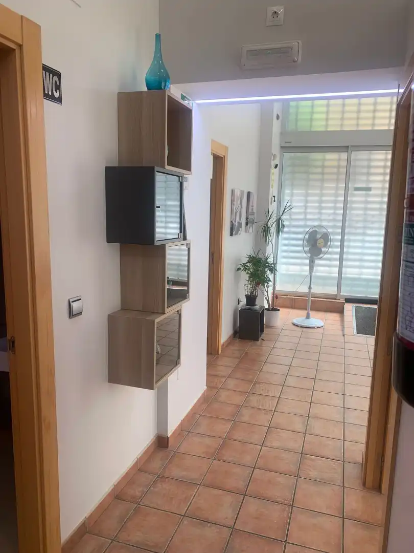 Gewerbefläche zum Verkauf in Avenida Inmaculada Concepción, imagen 5