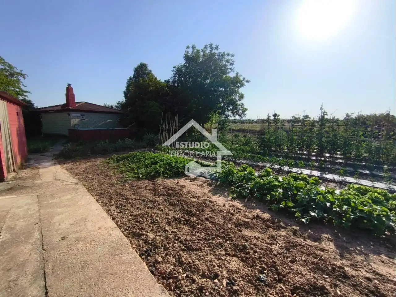 Rural land for sale in Calle carretera de la barca, imagen 34