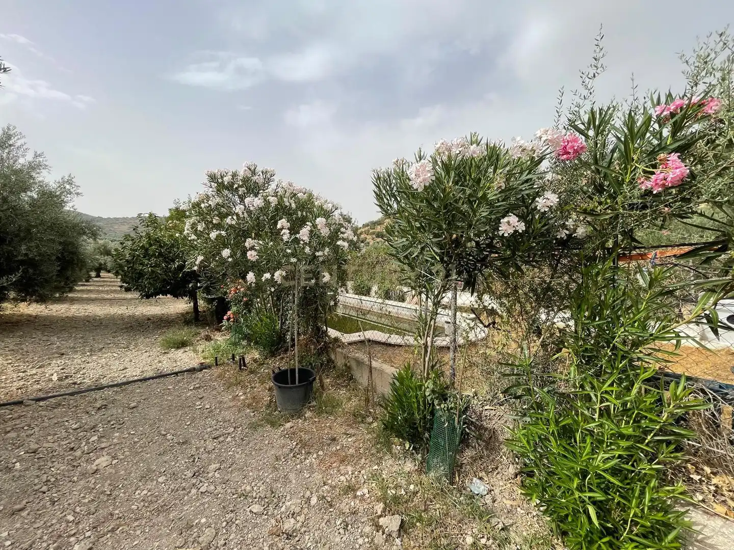 Rustikales Grundstück zum Verkauf in 18260 Íllora, Spain, imagen 25