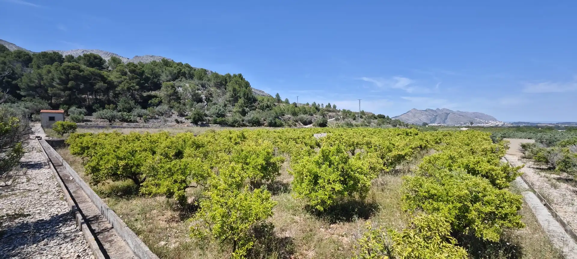 Residential land for sale in Tormos, imagen 28