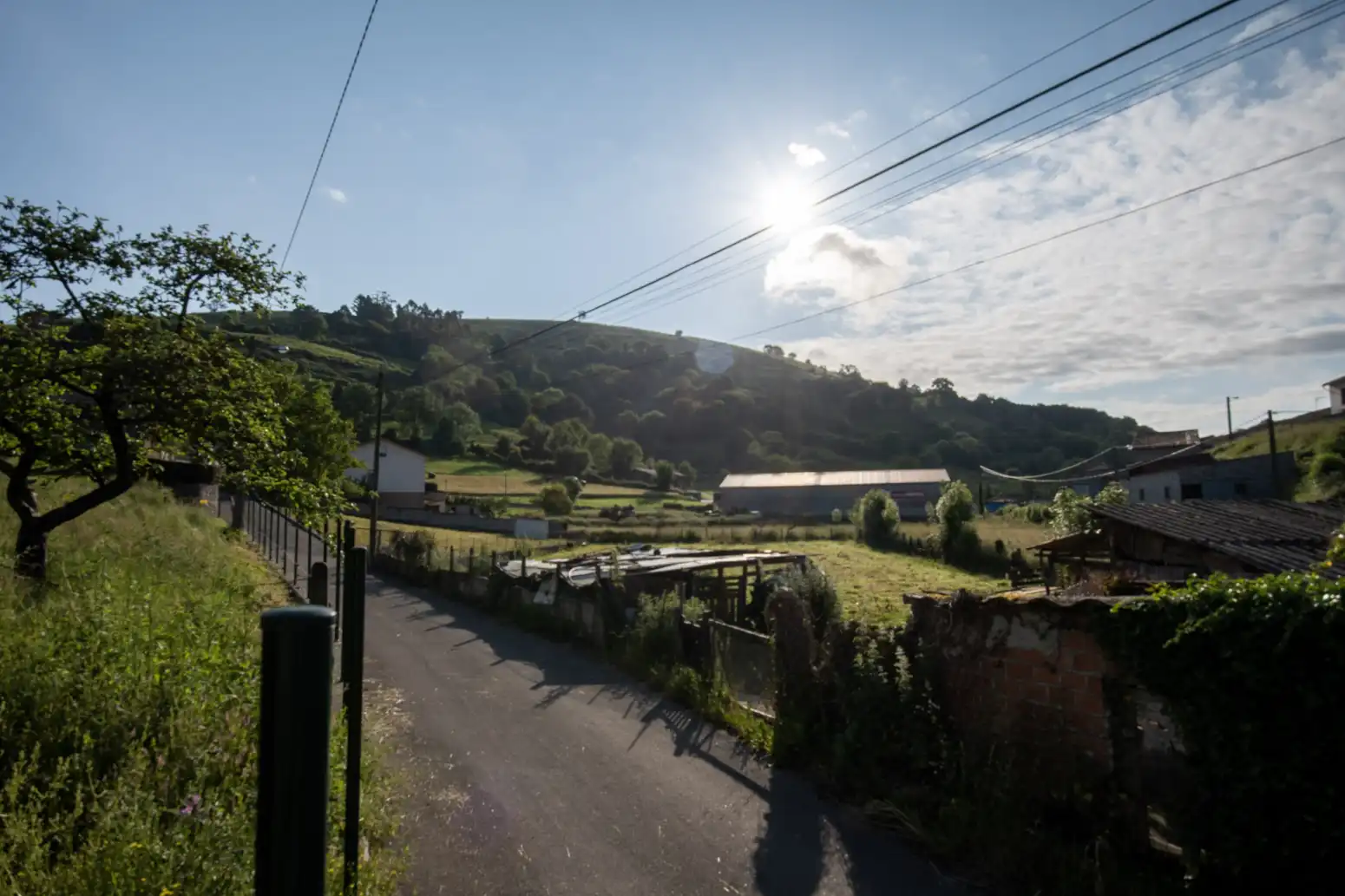 Terreny residencial en venda a San Román - San Roman, imagen 16