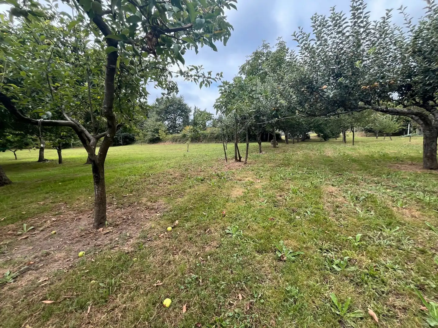 Rural land for sale in Covelo, imagen 15