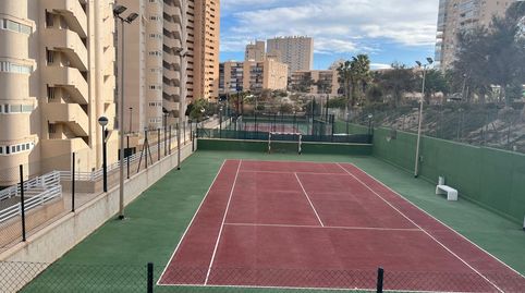 Photo 5 of Apartments for rent in Playa Muchavista, El Campello