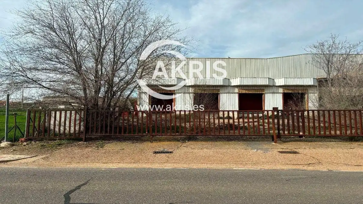 Industrial building for sale in Calle Carretera, imagen 4