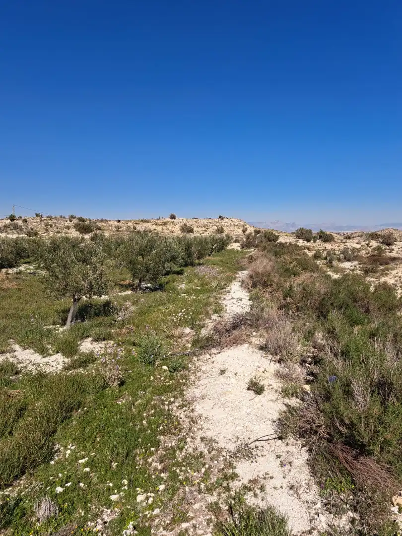 Terreno rustico in vendita a Plaça Industrial Garganta, imagen 5