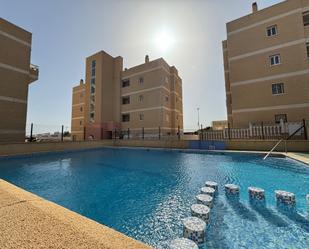 Swimming pool of Apartment to rent in Torrevieja  with Air Conditioner, Terrace and Swimming Pool