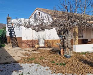 Vista exterior de Casa o xalet de lloguer en Lorca amb Aire condicionat, Terrassa i Moblat
