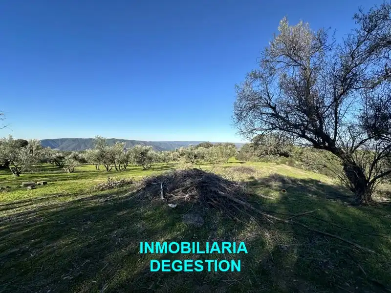 Terreni e lotti in vendita a Andújar, imagen 12
