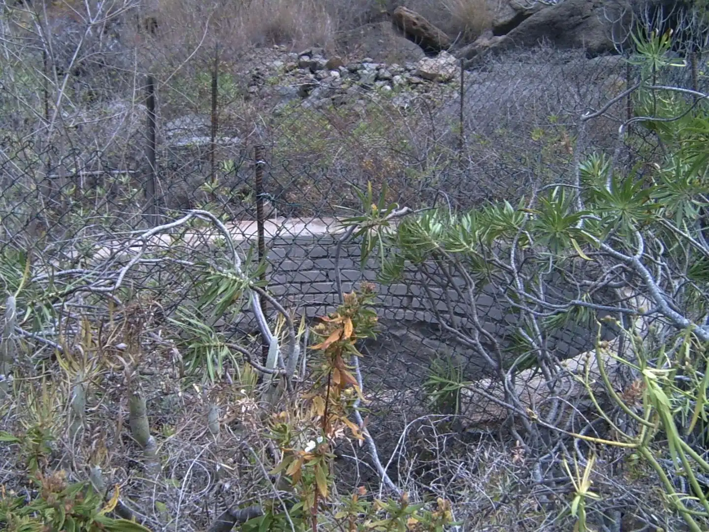 Terreno rustico in vendita a El Molino de Viento 7, imagen 9