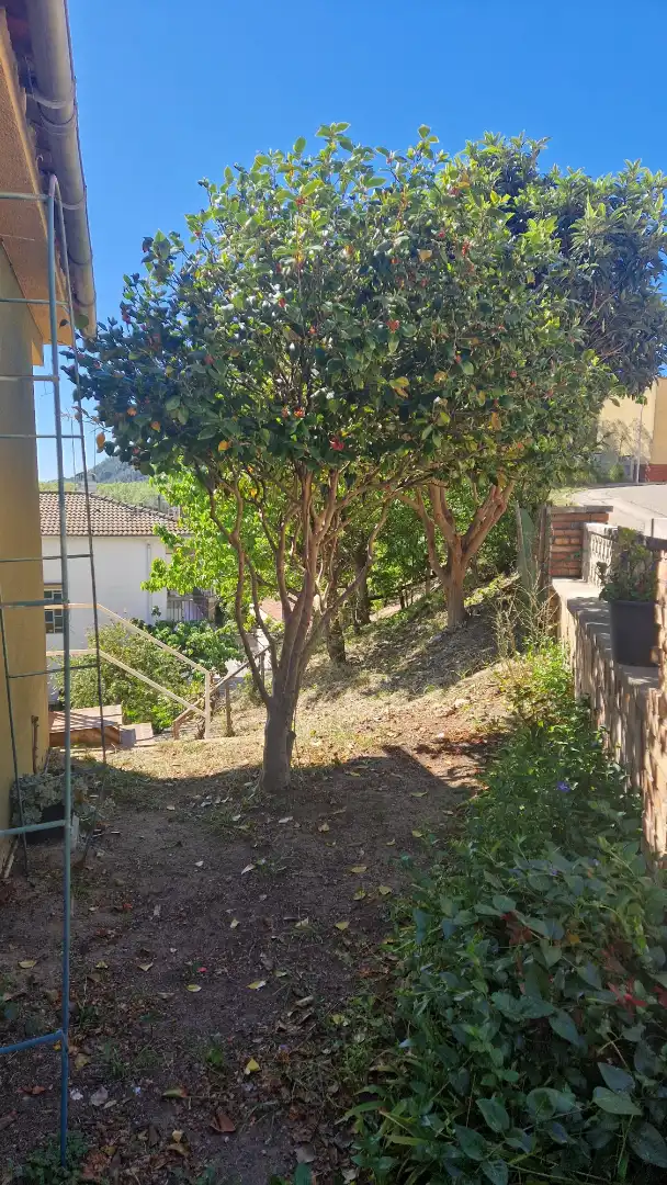 Detached house with terrace for sale in Carrer Vaixell Esmeralda, imagen 7