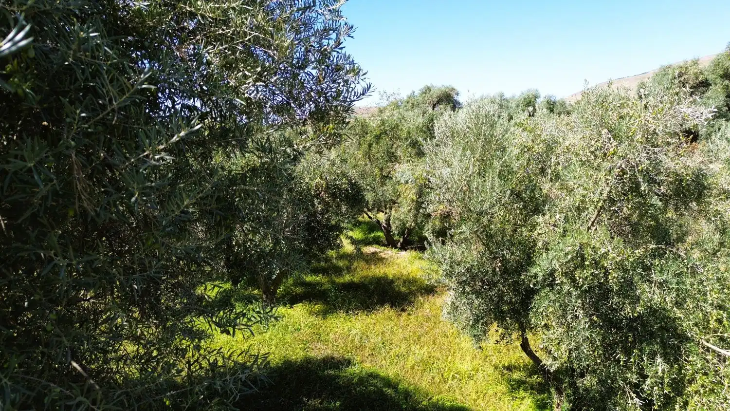 Xalet en venda a Órgiva, imagen 32