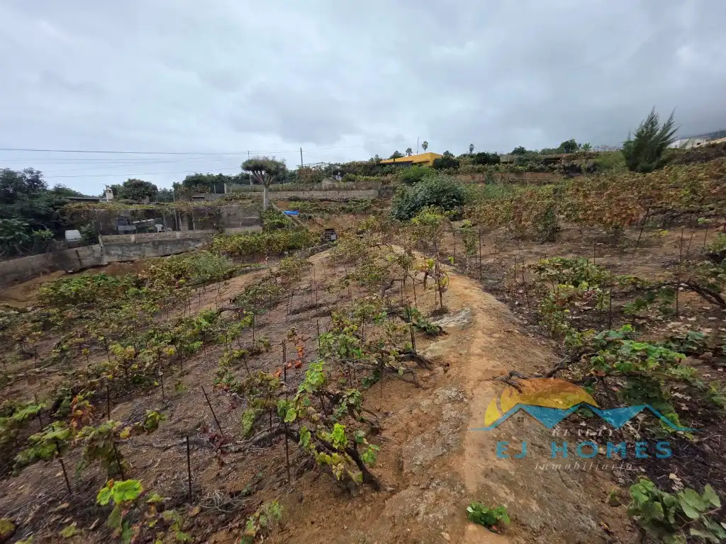 Houses for sale in La Orotava