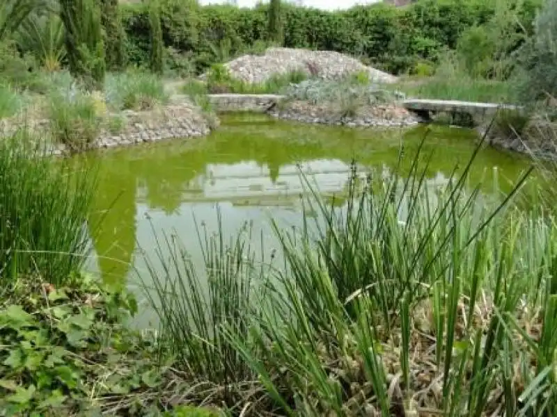 Jardí de Casa o xalet en venda en Fondón amb Aire condicionat i Calefacció