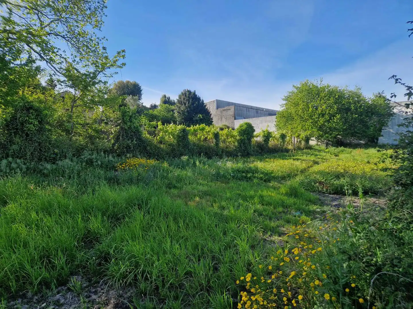 Lands and plots for sale in Brión, imagen 3