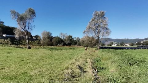 Terreno rustico, imagen 2