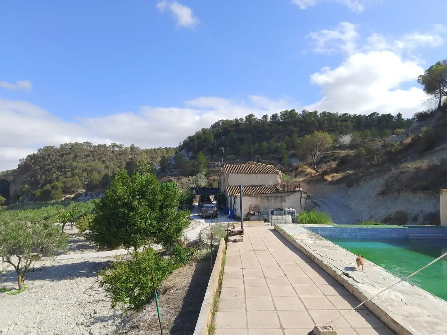 Terreno rustico in vendita a N/A, imagen 131
