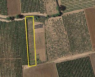 Land for sale in Azofra