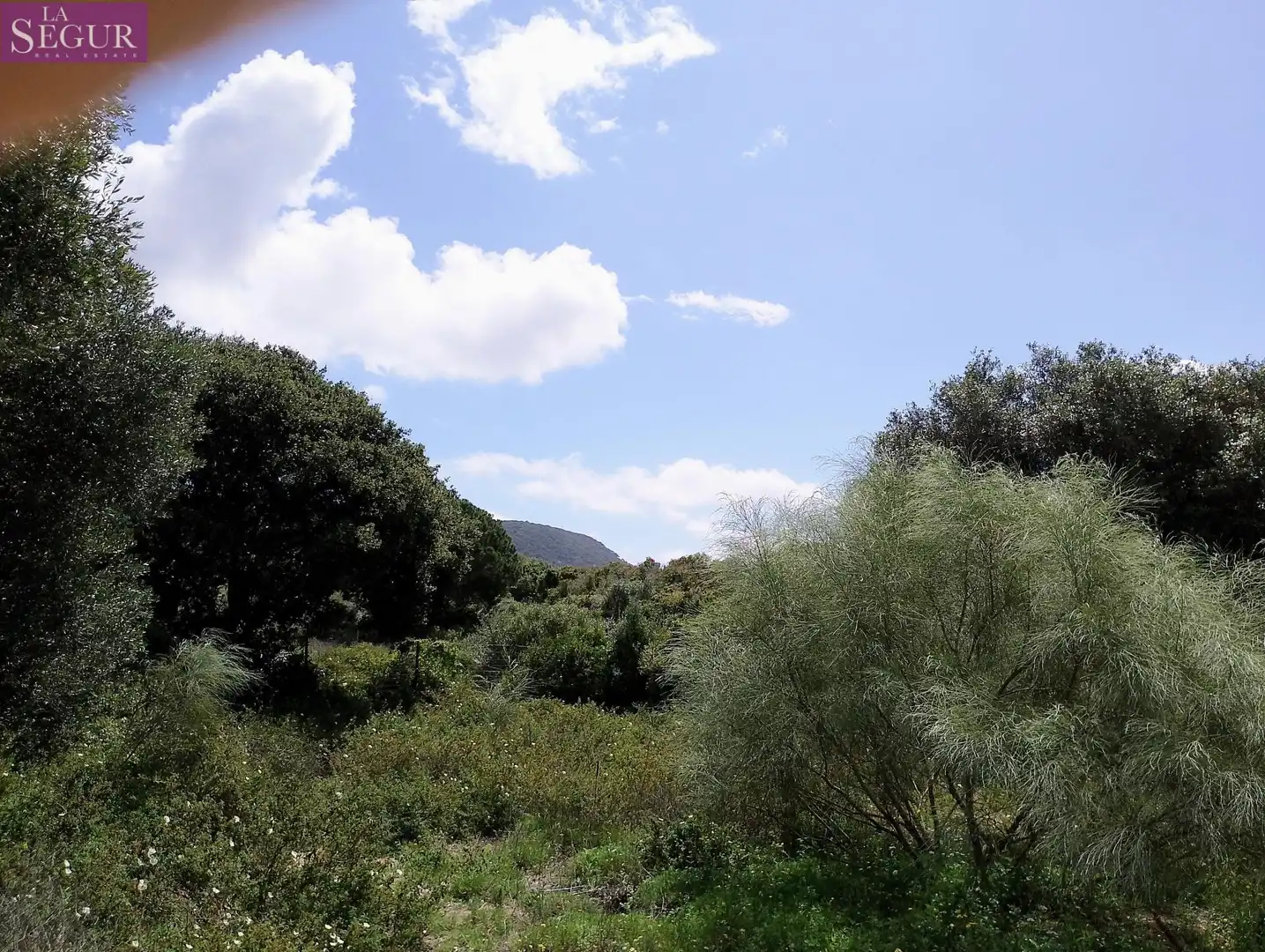 Terreno rustico in vendita a Barbate ciudad, imagen 3