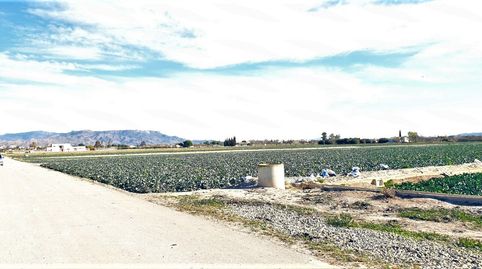 PARCELA EN DIPUTACION DE CAMPILLO