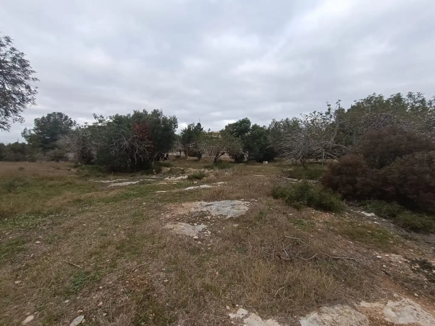 Terreny residencial en venda a Llevant, imagen 7