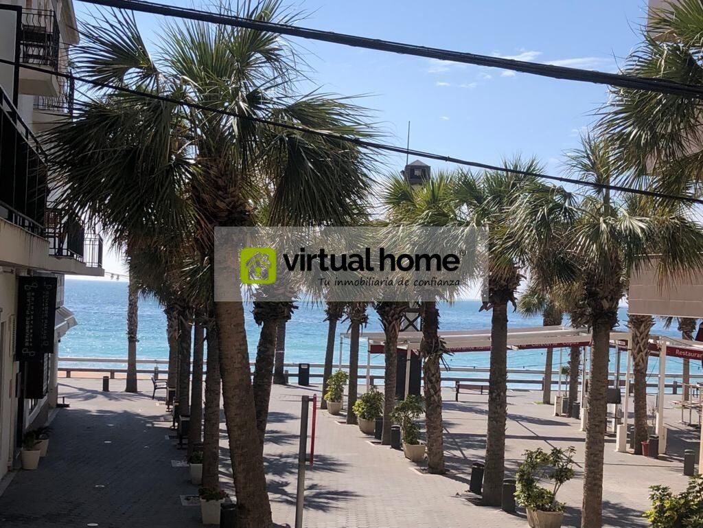 Vista exterior de Apartament en venda en Benidorm amb Aire condicionat