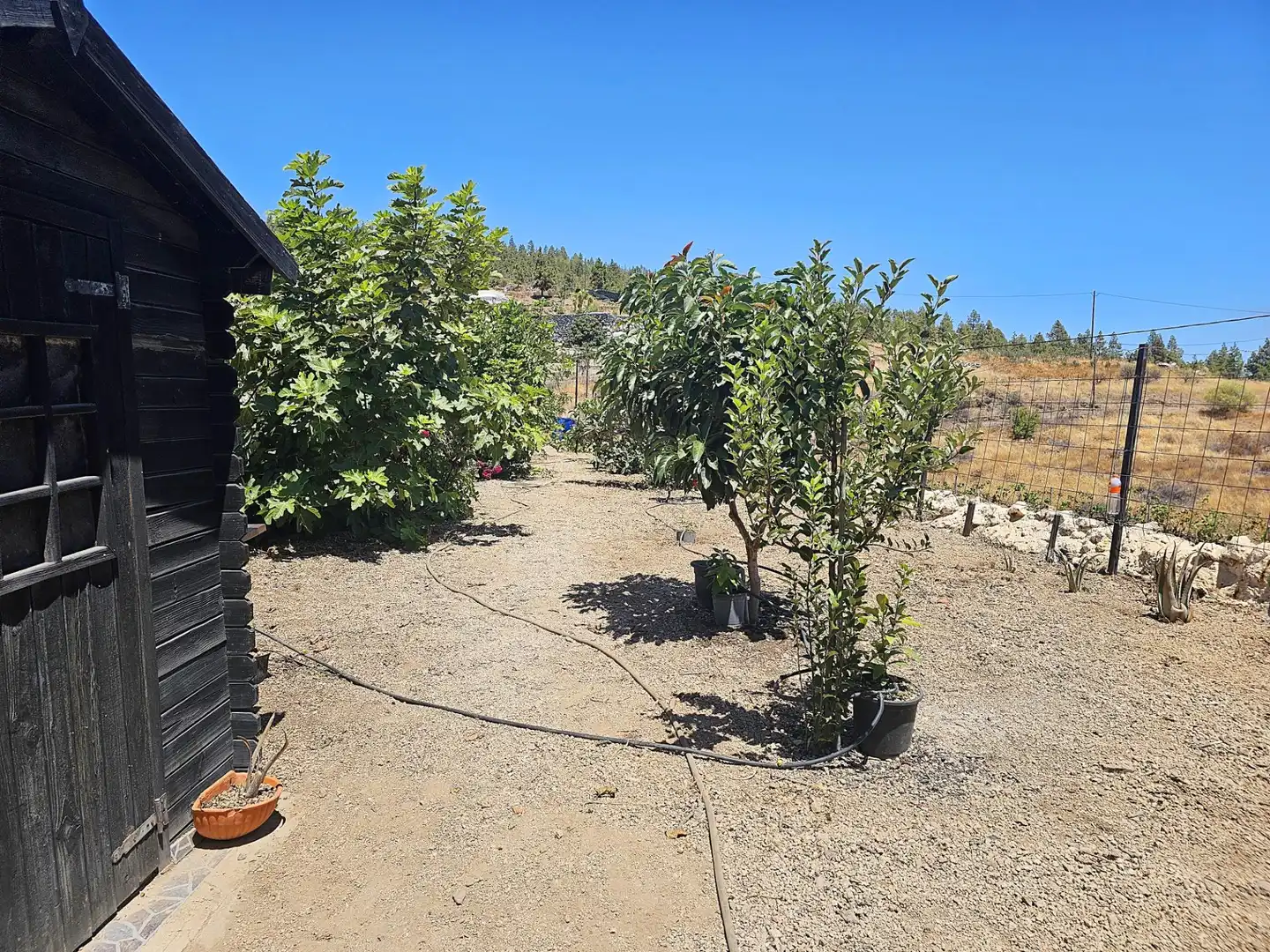 Finca rústica en venda en Granadilla de Abona