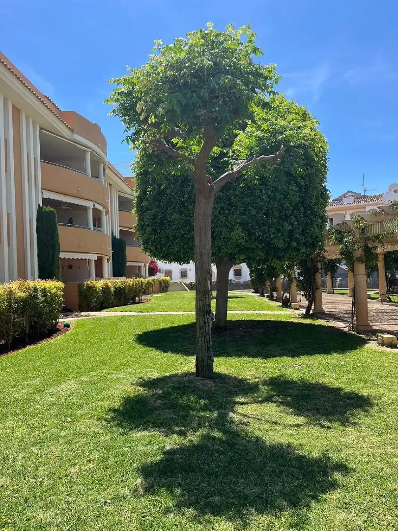Apartamento con piscina en venta en Las Marinas / Les Marines, imagen 26