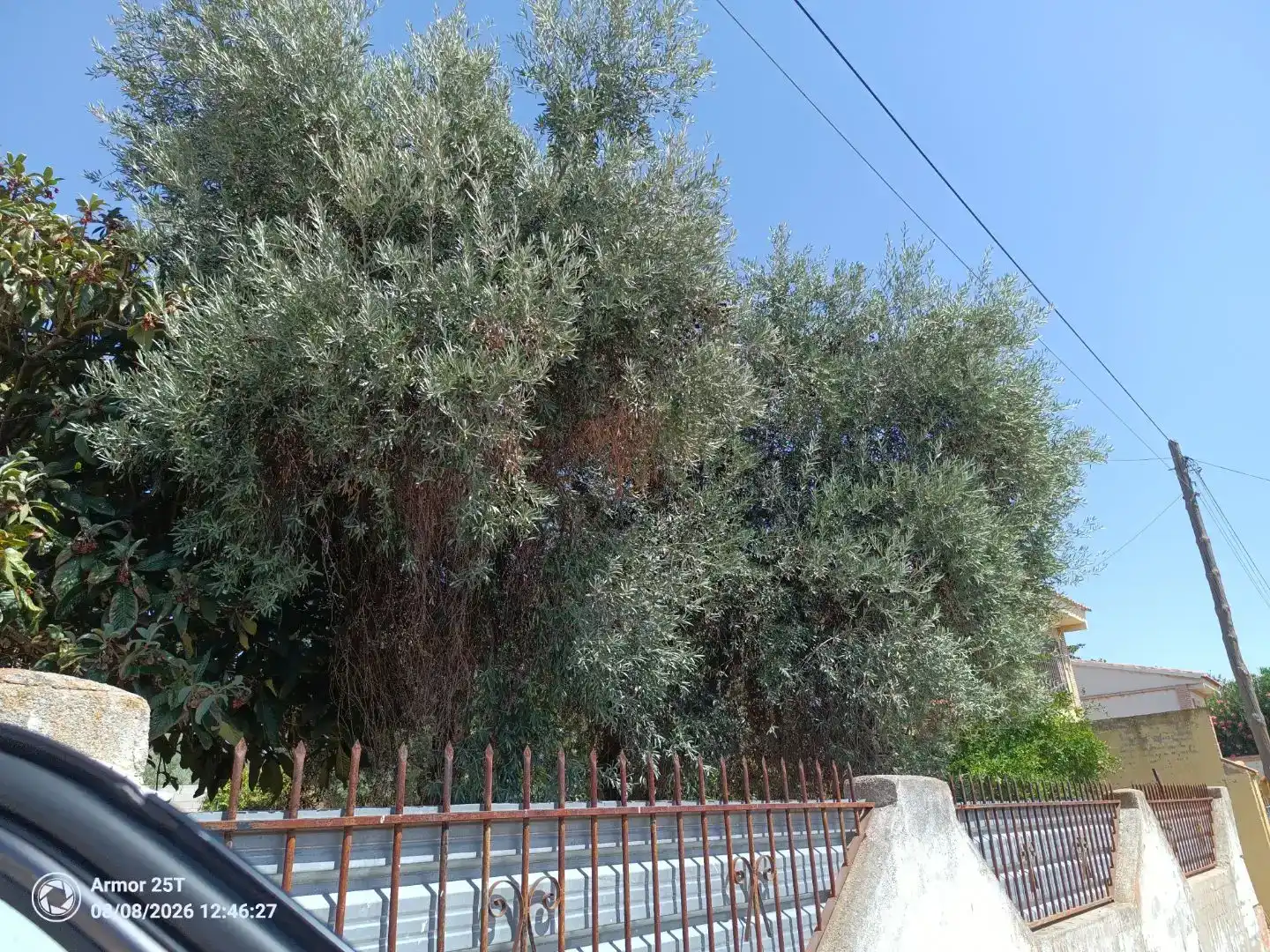 Pis en venda en Cobisa amb Jardí privat, Parquet i Terrassa
