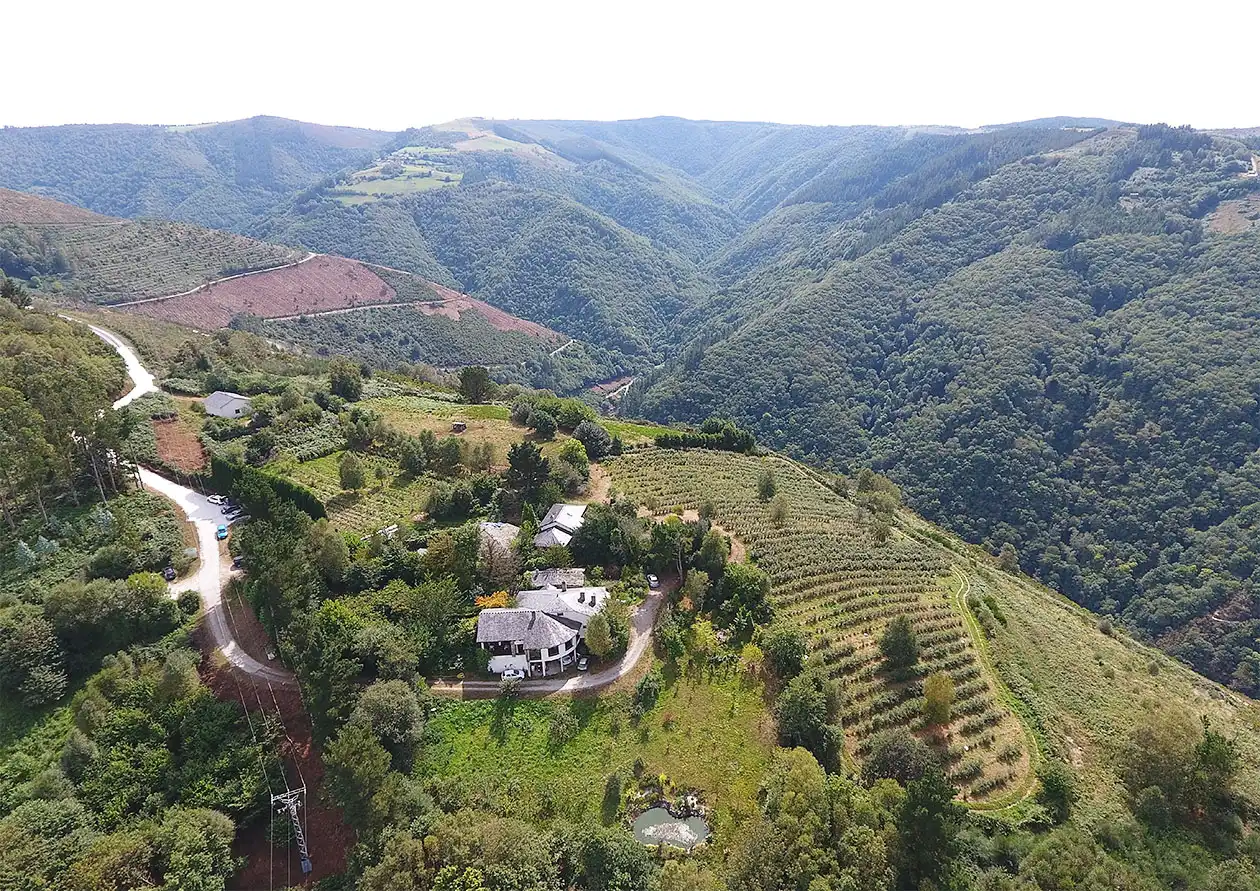 Vista exterior de Casa o chalet en venta en A Pontenova   con Jardín privado