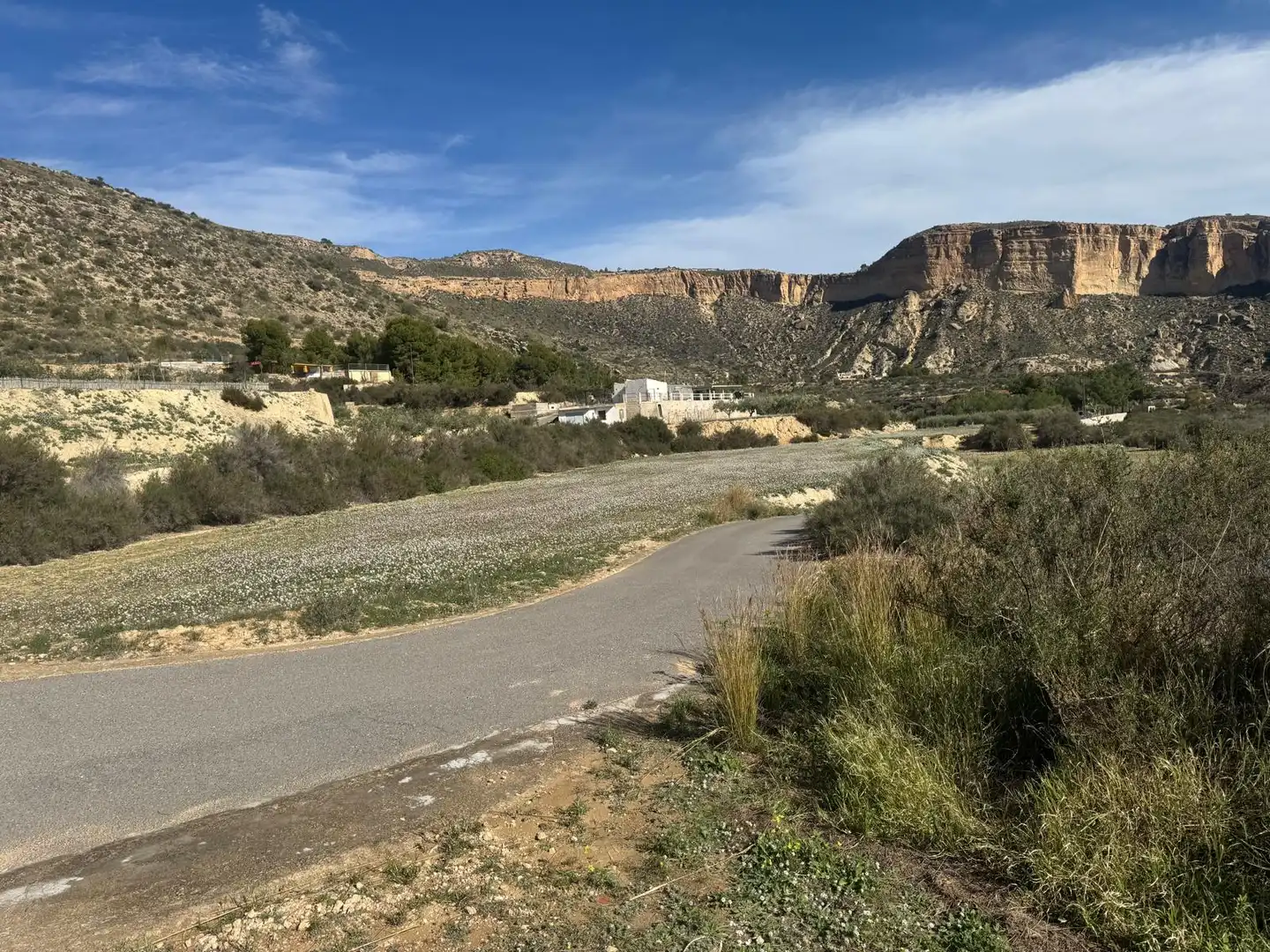 Terreno rústico en venta en Crevillent, imagen 3