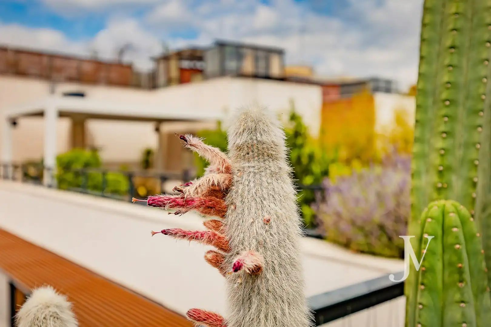 Jardín de Ático en venta en Madrid con Aire acondicionado, Calefacción y Jardín privado