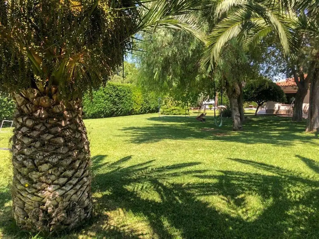 Jardín de Casa o chalet en venta en Elda con Aire acondicionado, Calefacción y Jardín privado