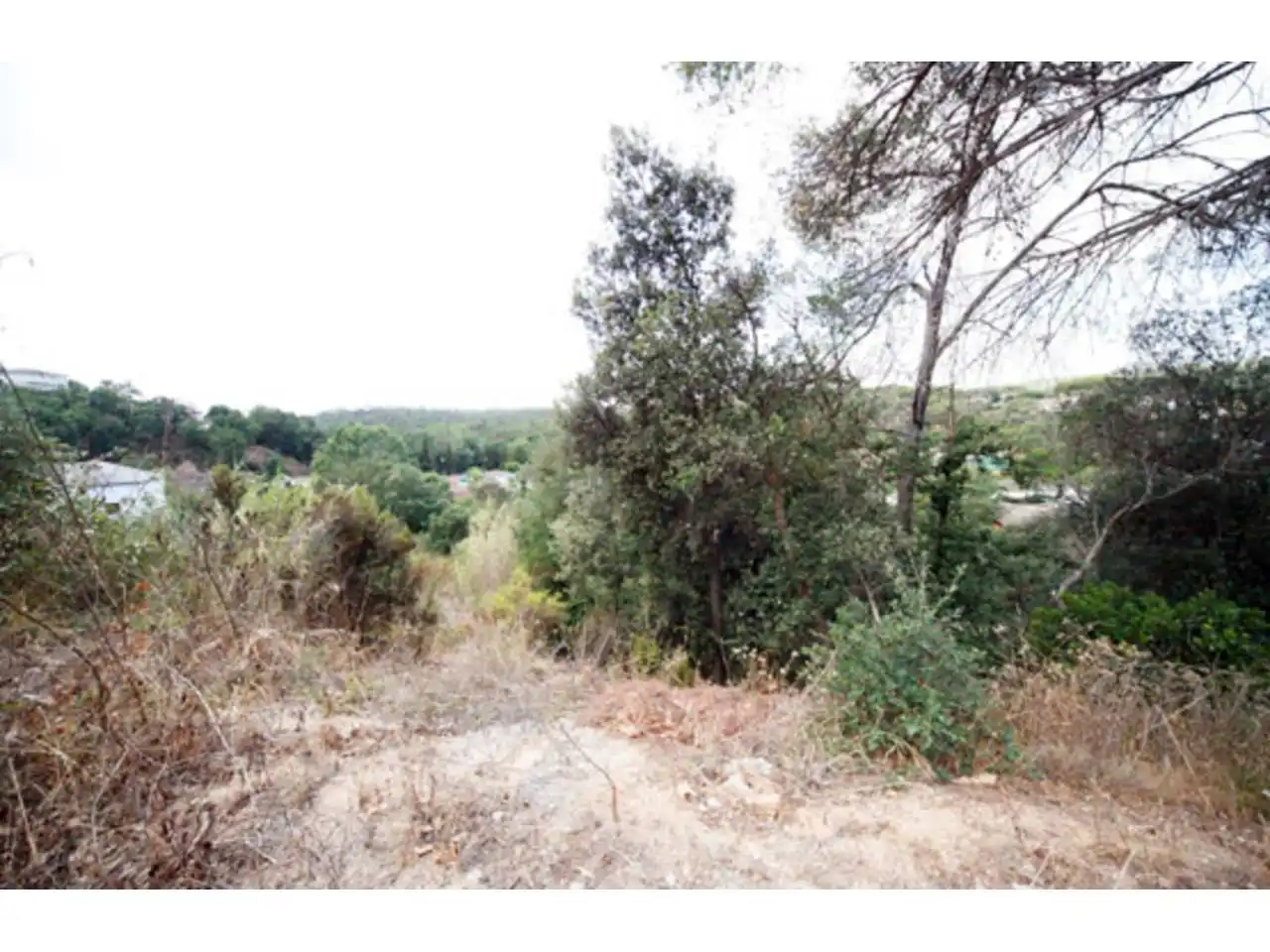 Rural land for sale in JUNTA DE COMPESACION, imagen 4