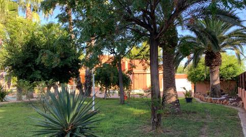 Foto 4 de Casa o chalet en venta en La Algoda - Matola - Llano de San José, Elche / Elx