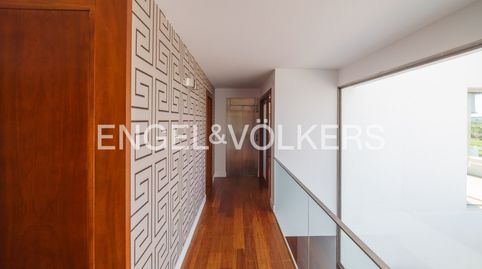 Foto 4 de Casa o chalet en venta en El Rocío - La Milagrosa, Jerez de la Frontera