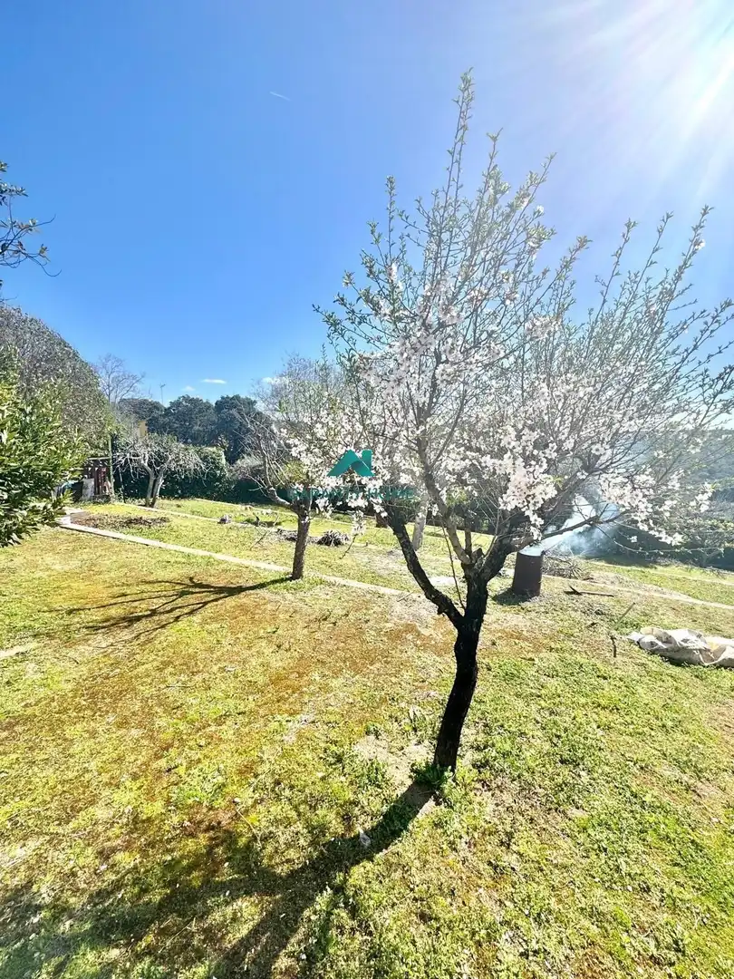 Garden of Houses for sale in Villa del Prado