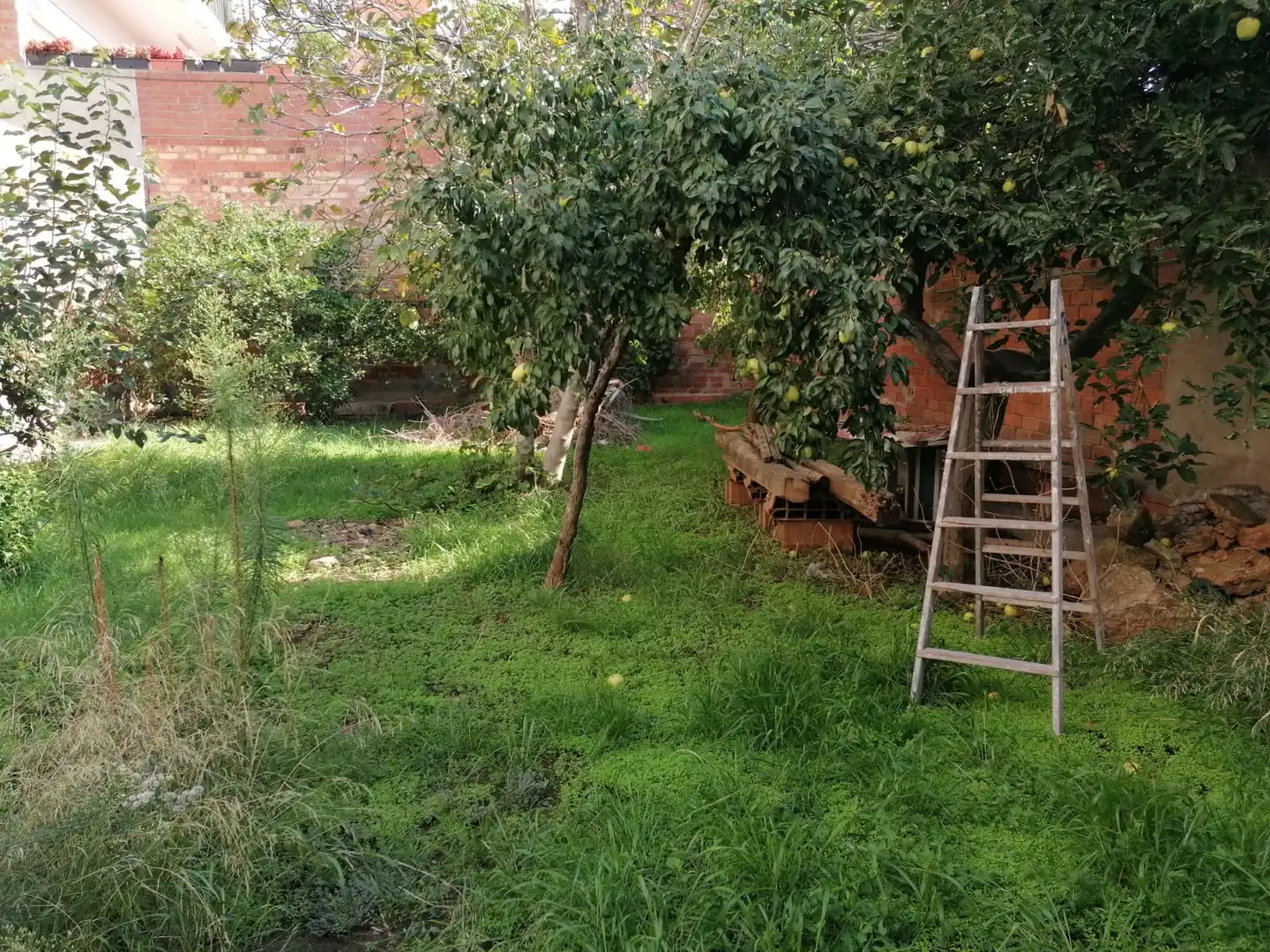 Terreno residenziale in vendita a Carrer de Francesc Casañas, imagen 2