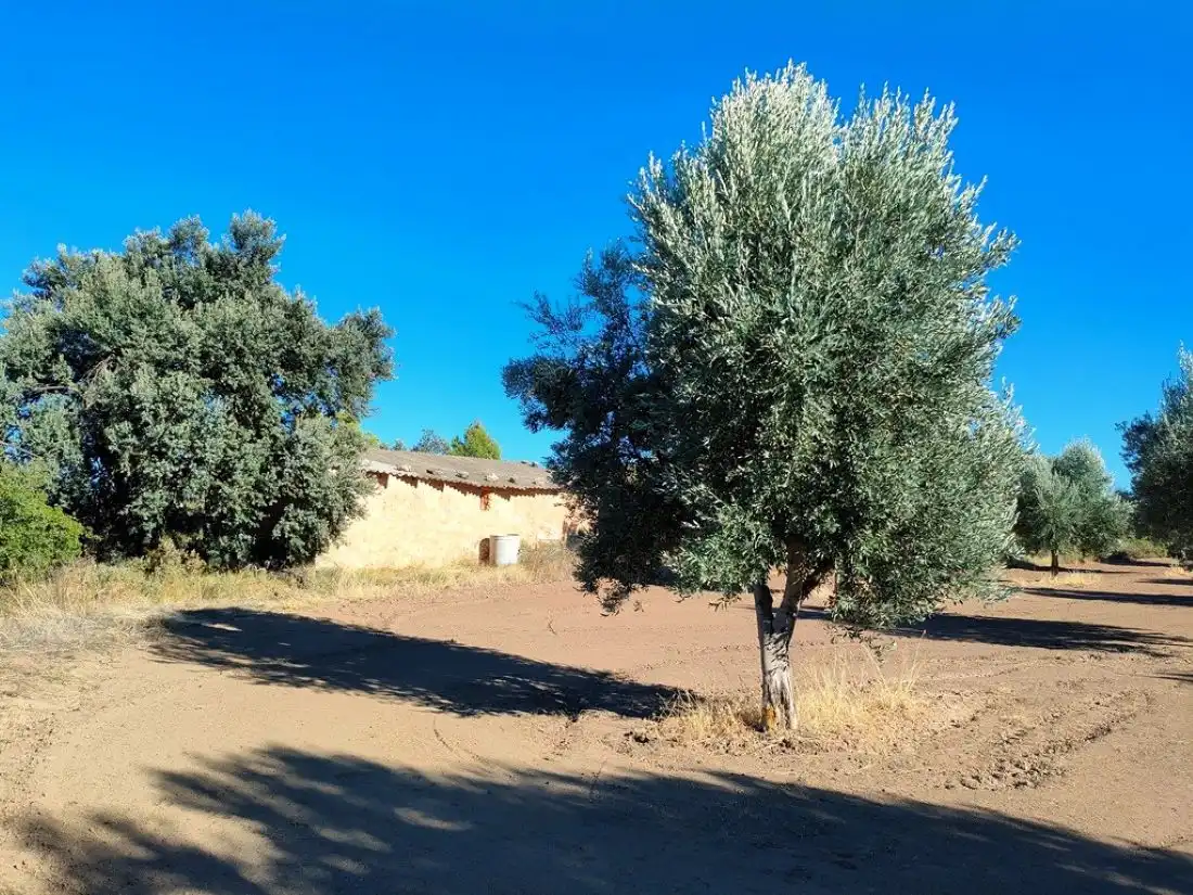 Country homes for sale in Cretas